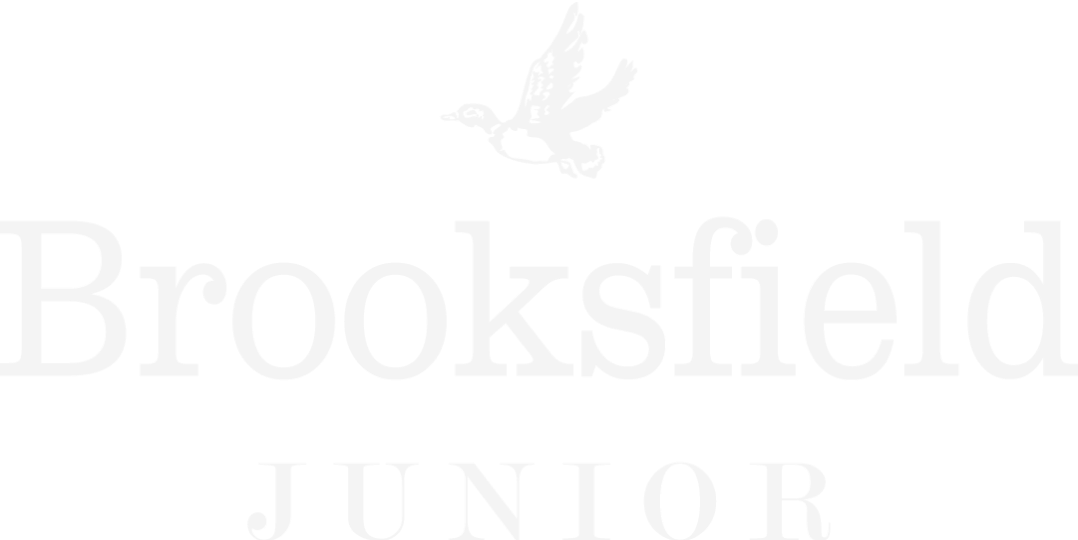 Logo Brooksfield na cor verde com fundo branco. 